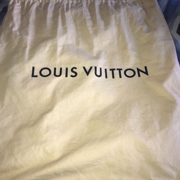 Louis Vuitton Apollo Backpack main image 5